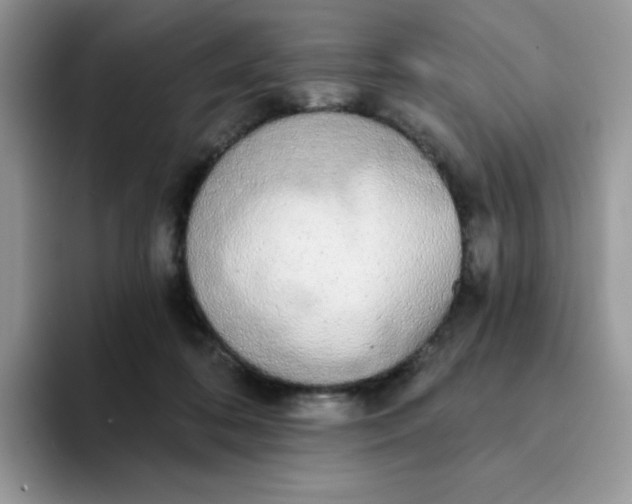 X0000094210316200711091242