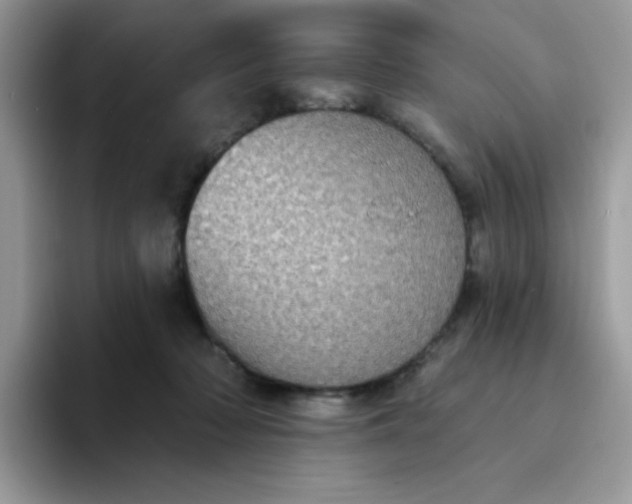 X0000094210318200711091242