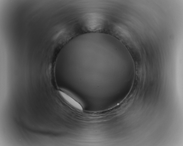 X0000094210319200711091242