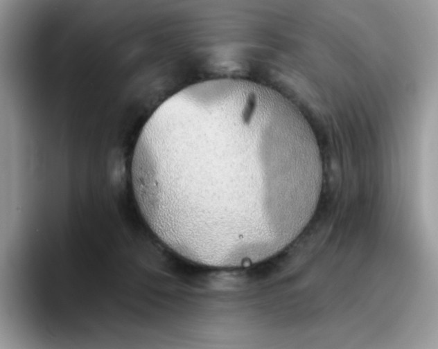 X0000094210320200711091242
