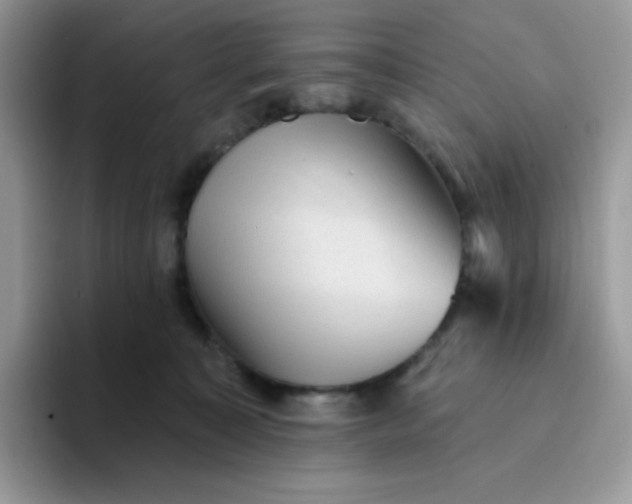 X0000094210323200711091242