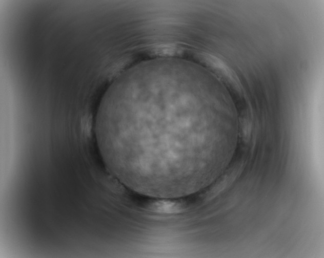 X0000094210326200711091242