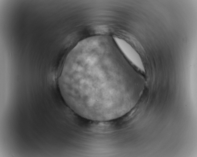X0000094210329200711091242