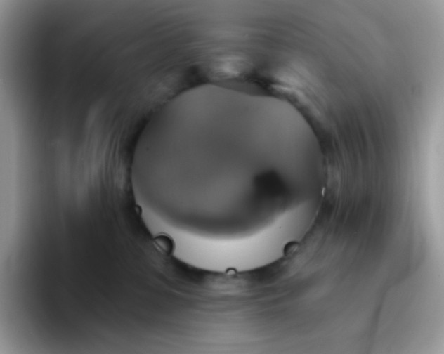 X0000094210331200711091242