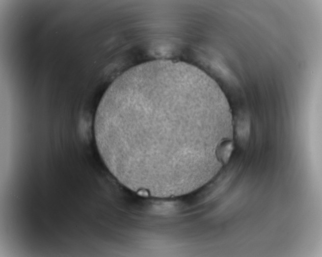 X0000094210332200711091242