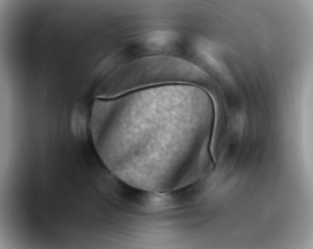 X0000094210333200711091242