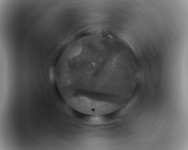 X0000094210335200711091242