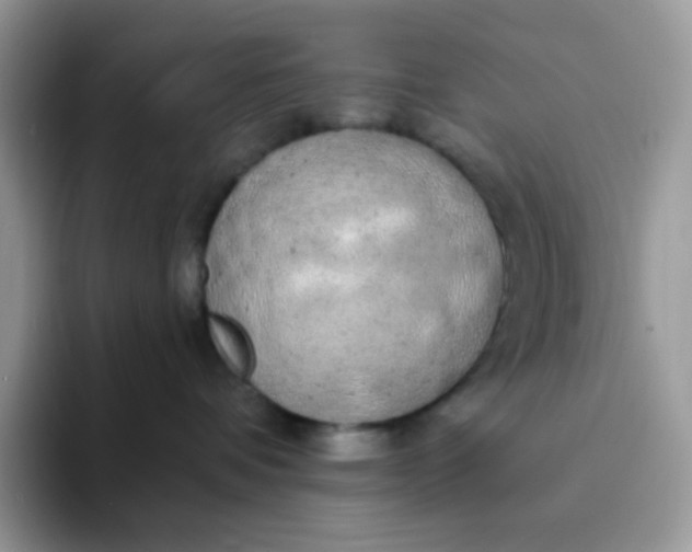 X0000094210336200711091242