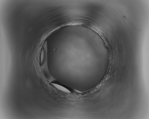X0000094210337200711091242