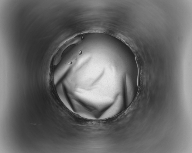 X0000094210338200711091242