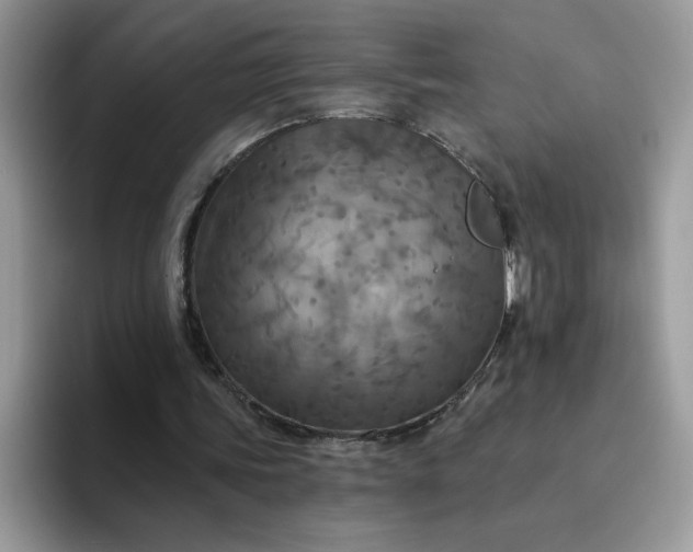 X0000094210339200711091242
