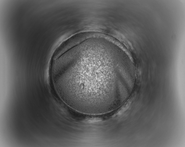 X0000094210340200711091242