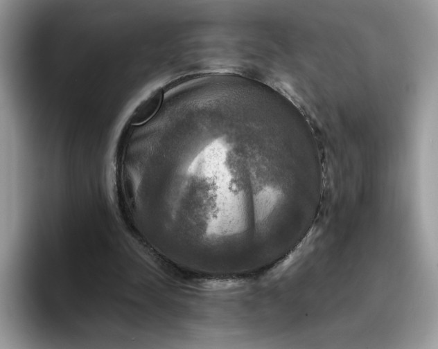 X0000094210342200711091242