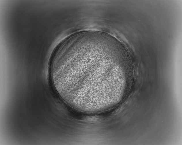X0000094210344200711091242
