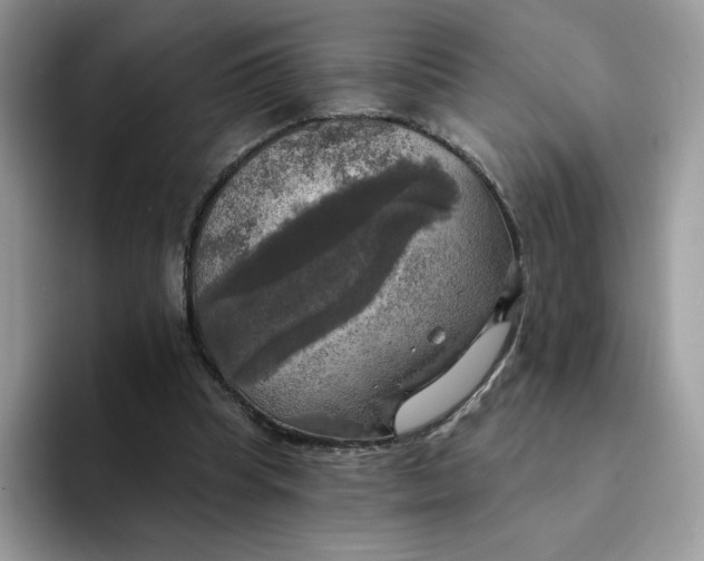 X0000094210345200711091242