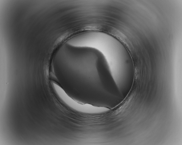 X0000094210349200711091242