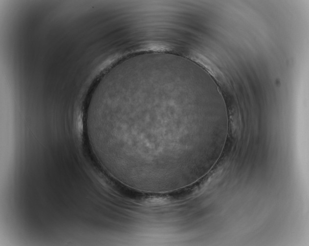 X0000094210350200711091242