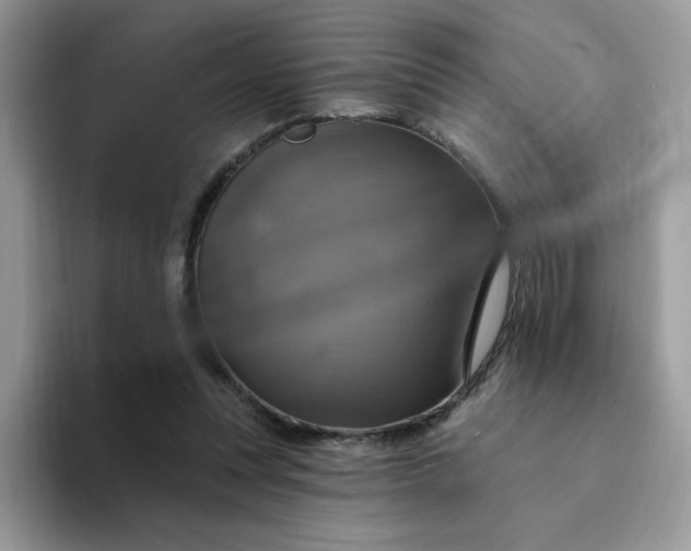 X0000094210351200711091242