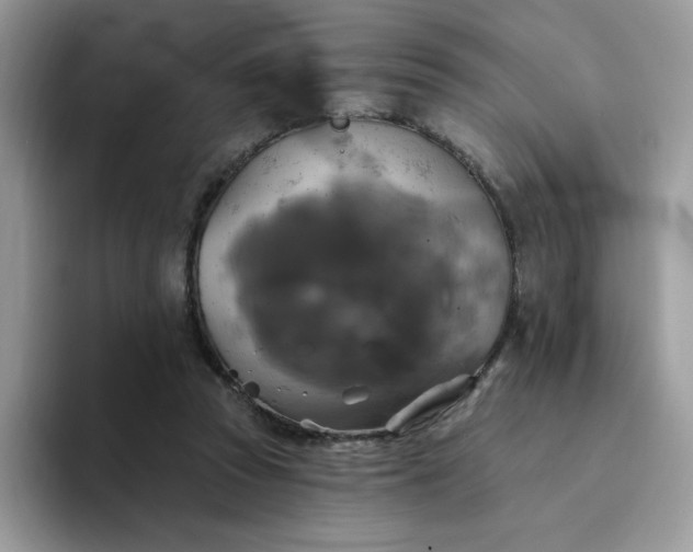 X0000094210353200711091242
