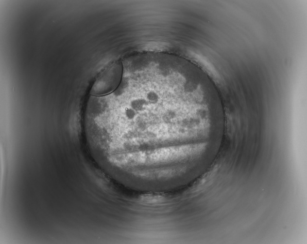 X0000094210354200711091242