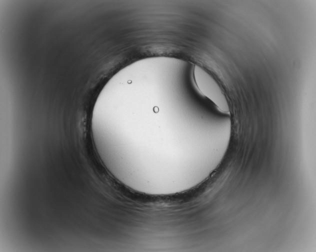 X0000094210356200711091242