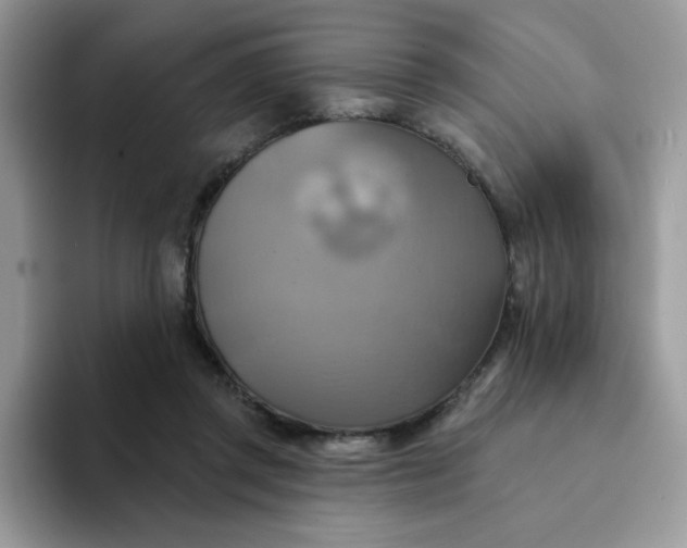 X0000094210357200711091242