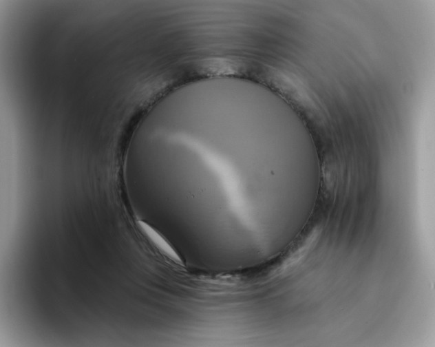 X0000094210359200711091242