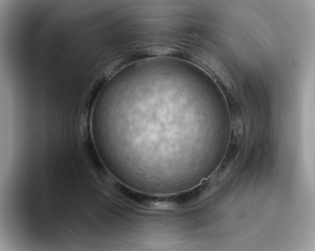 X0000094210360200711091242