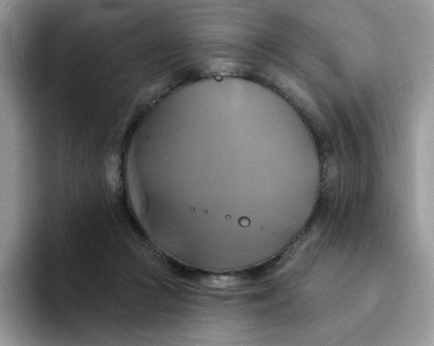 X0000094210361200711091242