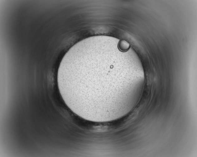 X0000094210362200711091242