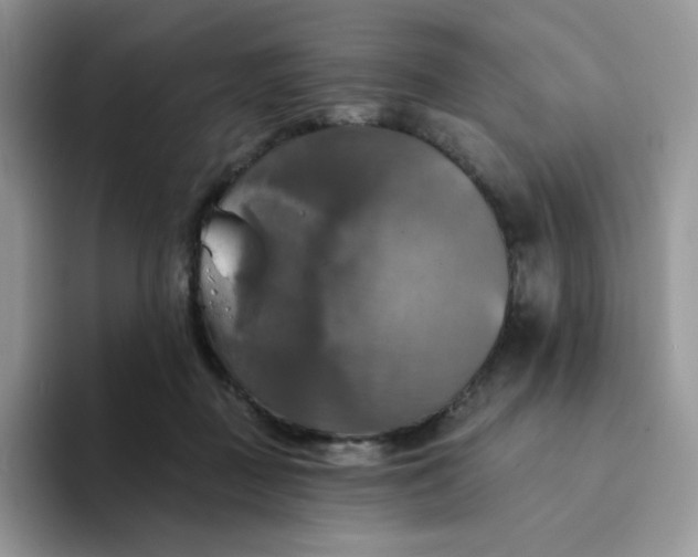 X0000094210363200711091242