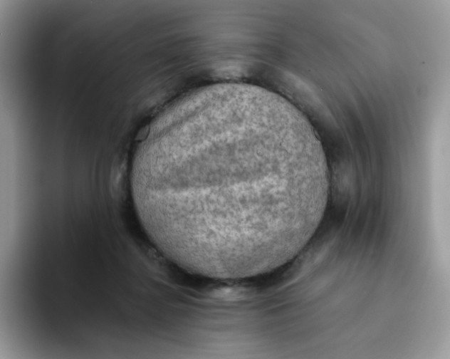 X0000094210364200711091242