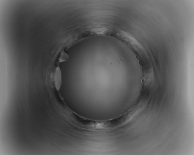 X0000094210365200711091242