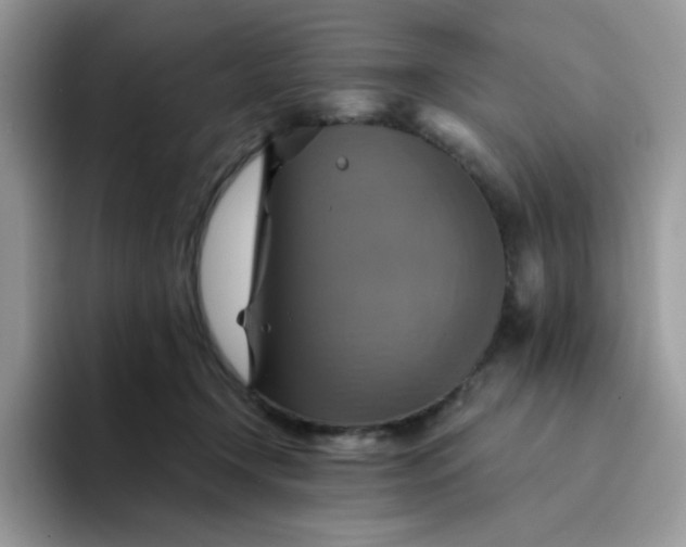 X0000094210366200711091242