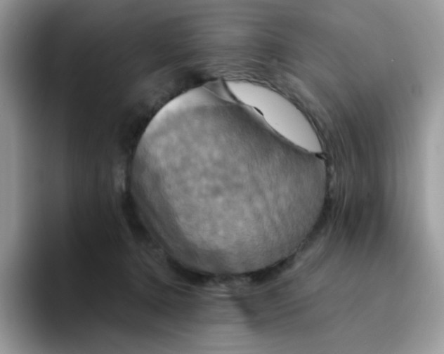 X0000094210368200711091242