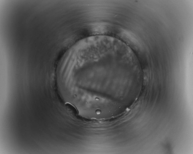 X0000094210369200711091242