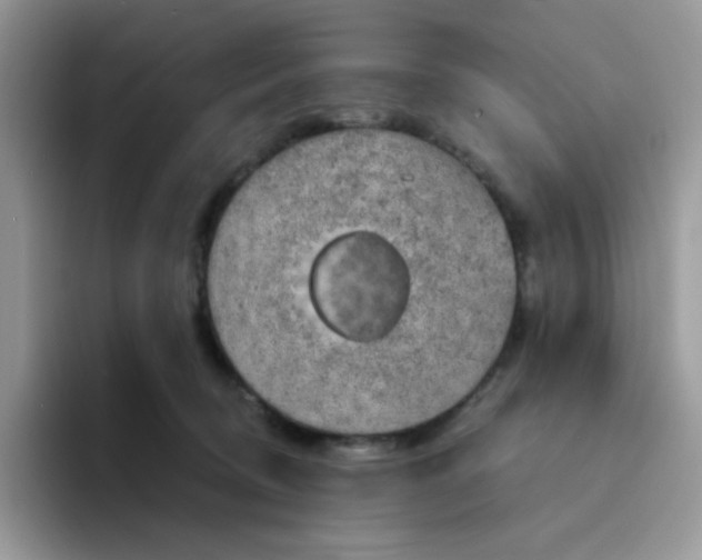 X0000094210370200711091242