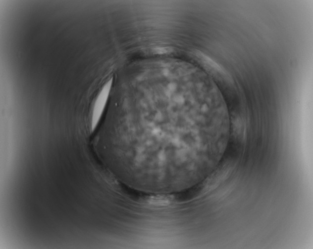 X0000094210373200711091242