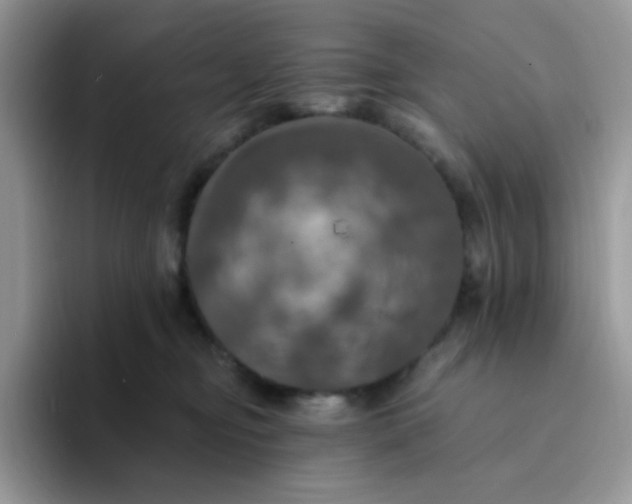 X0000094210374200711091242
