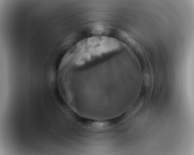 X0000094210375200711091242