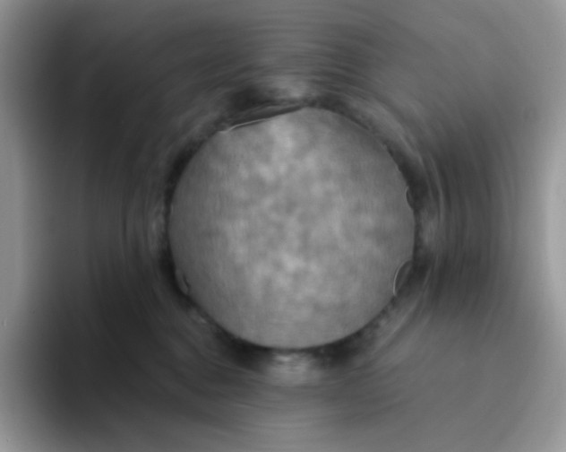 X0000094210376200711091242
