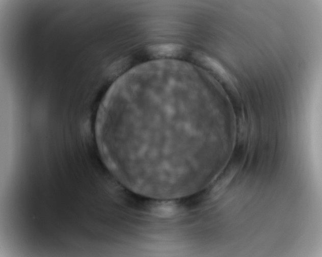 X0000094210377200711091242