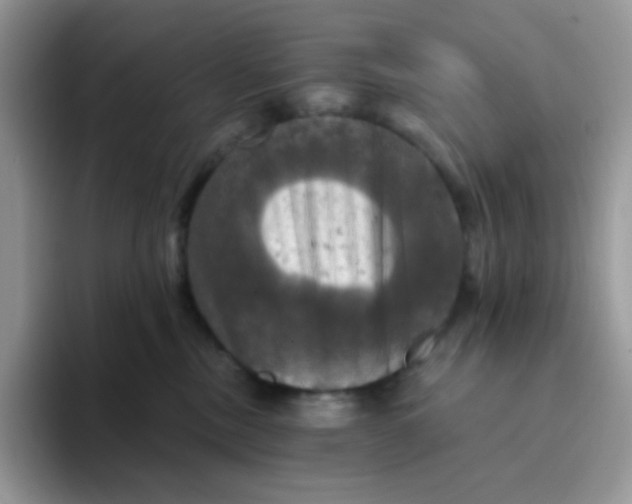 X0000094210378200711091242