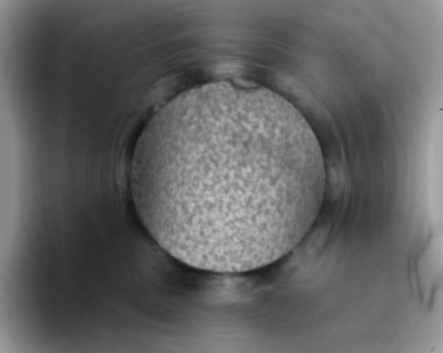 X0000094210379200711091242