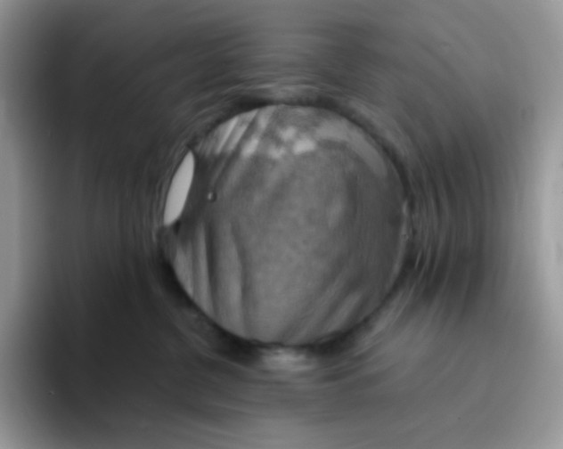 X0000094210380200711091242