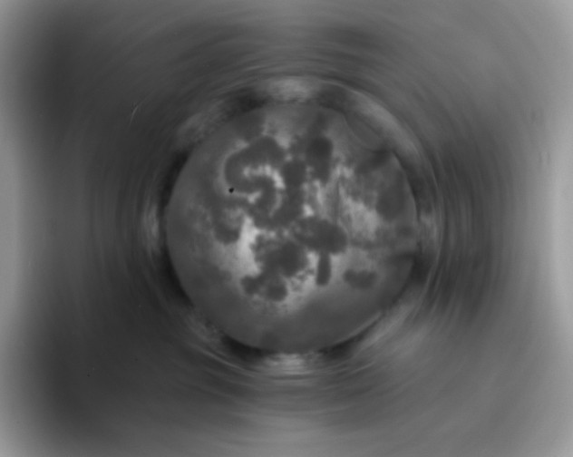 X0000094210381200711091242