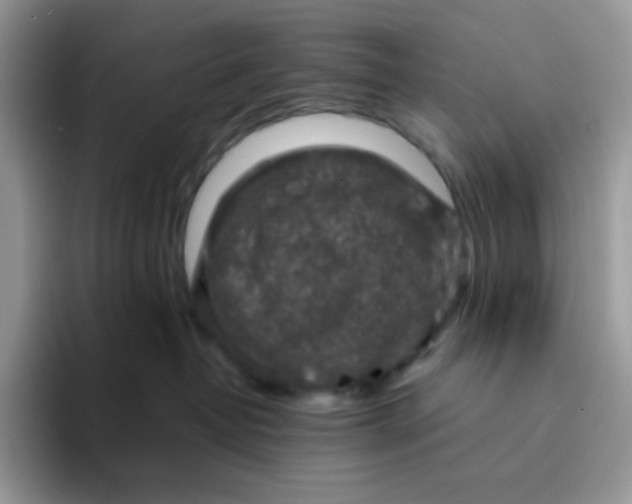 X0000094210382200711091242