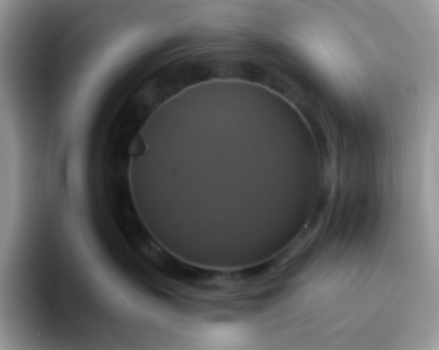X0000094210383200711091242