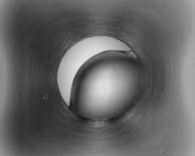 X0000094210384200711091242