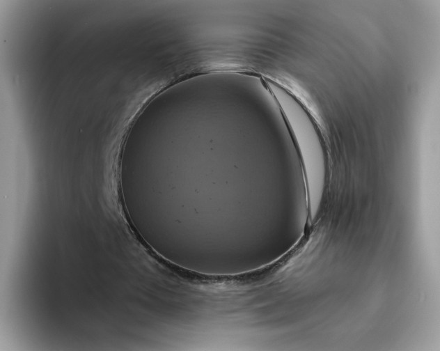 X0000094210385200711091242